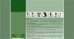 Desktop Screenshot of carpmaster.ru